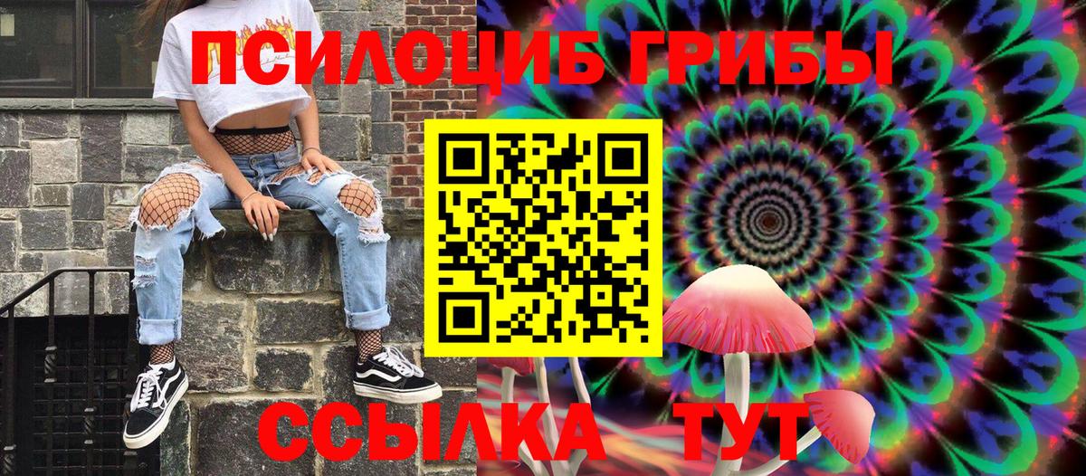 Псилоцибиновые грибы Psilocybe Лысьва
