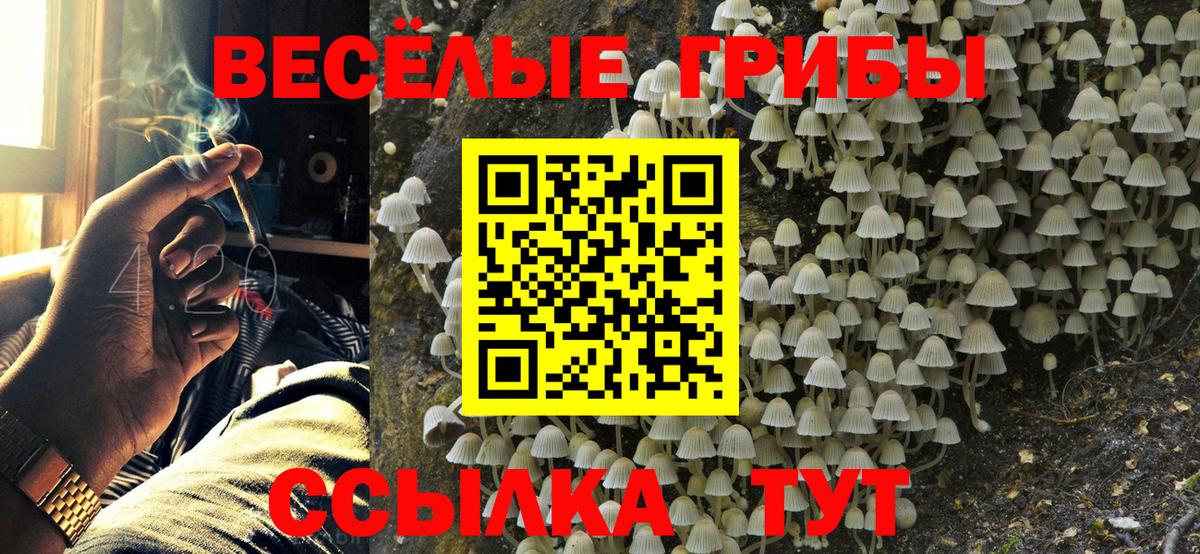 Псилоцибиновые грибы Psilocybine cubensis  Псилоцибиновые грибы мицелий  Вход с VPN  Лысьва 